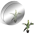 TAIANJI 2 Pcs Acrylic Round Mirrors 30cm Non Glass Round Mirror Plate, Self Adhesive Mirror for Stick On Mirror Wall Mirrors for Bedrooms Mirror Tiles Self Adhesive Mirror Tiles Self Adhesive