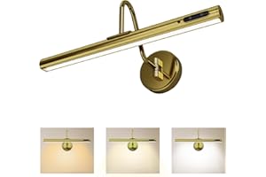 QINER Picture Lights for Wall ,Rechargeable Picture Light with Remote, Dimmable & 3 Color Temps,40cm Magnetic Battery Operated Wall Lights for Paintings,Portraits Dartboard Frame Gallery(Antique Brass)