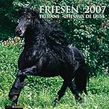 Friesen 2007. by 