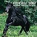 Friesen 2007. by 