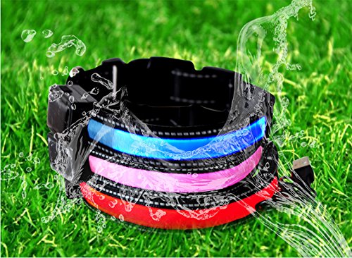 Lesypet-USB-Rechargeable-Reflective-Flashing-Lights-LED-Pets-Dog-Safety-CollarSolar-charger-and-WaterproofFit-for-Small-Medium-Large-Pets-Dog-Sold