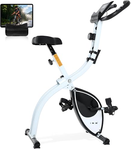 DMASUN Vélo d'appartement silencieux à résistance magnétique pour la