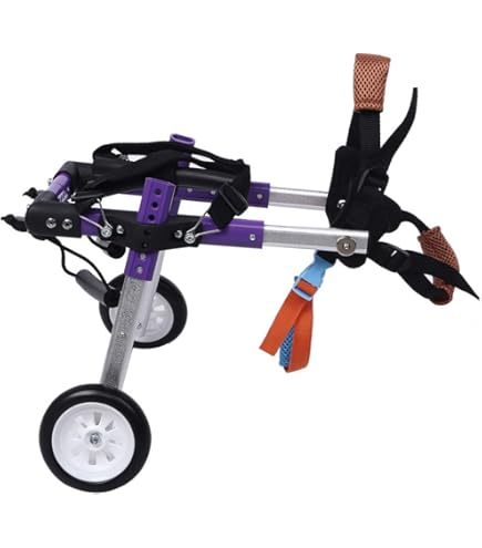Rolstoel voor achterpoten voor honden, geschikt voor achterpoten van kleine honden en katten, hulp bij het lopen van de kinderwagen voor honden, terreinvoertuig