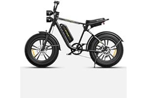 ENGWE M20/M1 Bici Elettrica Uomo, 150KM/75KM 90KM/170KM,Autonomia Sistema con 20"×4.0 Fat Tire,48V 26AH/13AH/15.6AH/28.6AH E-bike Off-roade Cambio 7 Velocità e Sospensione Completa