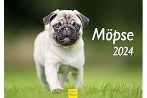 ‎EDITION SEIDEL Edition Seidel Premium Kalender Möpse 2024 Format DIN A3 Wandkalender Hundekalender Weltweit Mops Hund Welpe Hunderasse Haustier