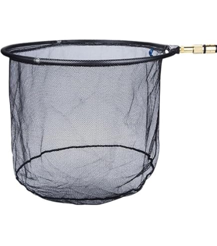 Épuisette Télescopique Pliable De Rechange,Tête De 30cm De