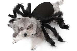 BRONG - Disfraz de Halloween para gatos y perros pequeños, diseño de araña, ajustable, para Halloween, cosplay, decoración de fiesta (S)
