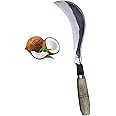 Katari South Indian Traditional Iron Billhook | Steel Aruval | Kitchen Knives | Plants Cutter in Pure Iron