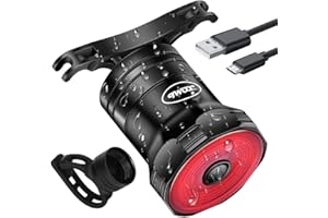 KAISHENGYUAN Fanale Posteriore per Bicicletta, LED USB Ricaricabile Impermeabile Luce Posteriore per Bicicletta, Accensione/spegnimento Automatico Luci per Bicicletta Intelligenti