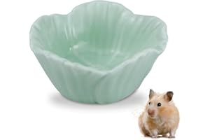 LuckyOpt Small Ceramic Pet Hamster Bowl, Easy to Clean Anti Flipping Hamster Food and Water Bowl Feeding Bowl, Small Animal Bowls for Golden Bears, Rabbits, Hedgehogs, Dutch Pigs, Parrots (Green)