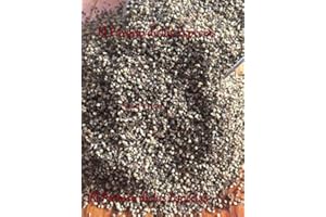 EL PARAÍSO DE LAS ESPECIAS Pimienta Negra Molido Grueso 1000 grs - Pimienta Negra Pura 1 Kg