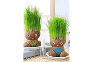 Sollee 2 Pack Growing Grass Head Doll Plant Doll Head Planter Bonsai Grass Head Plant Grow Your Own Hairy for Desktop Room Home Decorations (Random Colour)