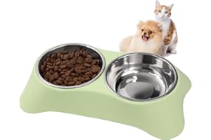 DOKI Double Dog Bowl, Removable Double Stainless Steel Bowls for Food and Water, Pet Bowls with Non-Spill for Small Dogs and Cats（Green）