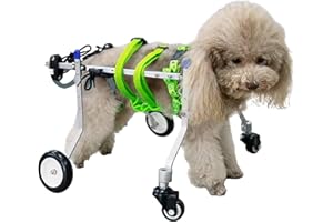 ENHEN Chariot Chien Handicapé 4 Roues pour Chiens de Chien Soutien Complet, Chariot de Réhabilitation pour Animaux de Compagnie pour Les Pattes Arrière / Avant Handicapées, Outils de Support de Roulement de