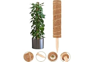 JILIJIA Lot de 5 poteaux en mousse de coco pour totem - Tuteurs en fibre de coco - Pour extension de support de plantes, plantes grimpantes, plantes d'intérieur - 30 cm