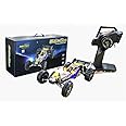 Mytoys MT-828 Baja RC High speed rc car