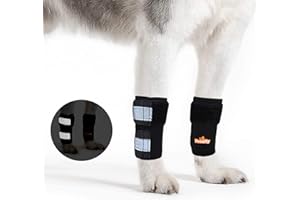 NeoAlly Front Leg Brace for Dog & Cat [Pair] Canine Carpal Support with Safety Reflective Straps for Front Hock Injury Prevention, Joint Pain and Loss of Stability from Arthritis (XXS/XS Pair)
