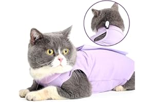HEYWEAN Body Gatto Post operatorio sterilizzazione Tuta Gatto Post Intervento Vestito Gatto Gilet Medico Gattino Body Post Chirurgia Alternativa a Collare elisabettiano Gatto