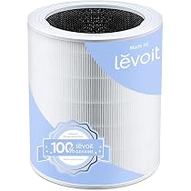 PUREBURG 2er-Pack HEPA-Ersatzfilter + 4 Kohlevorfilter – Für JETERY JT-8115M & Crane EE-5068