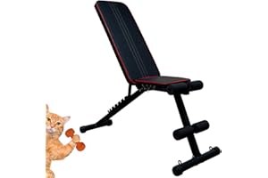 LAZY LADY Banco Musculacion, Banco de Peso Ajustable para Entrenamiento de Cuerpo Completo, Banco Plegable de Ejercicio en el Hogar, Gimnasio de Entrenamiento de Fitness para uso General