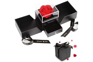 Vegena Roslåda, infinity-rosor, födelsedagspresent för kvinnor, evig ros i smyckeskrin, presentlådor med röda rosor, blommor