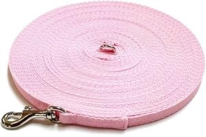 CHURCH PRODUCTS UK Puppy Training Lead Small Dog Recall Obedience Training Leash 10ft (3m) in 13mm Strong Webbing in (Baby Pink)