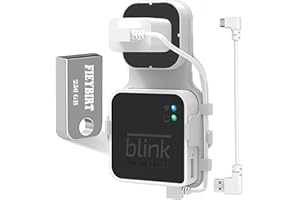 Fieybirt Blink Clé USB 256 Go pour Stockage vidéo Local avec Support pour Module de synchronisation Blink 2 (Le Module de synchronisation supplémentaire Blink 2 n'est Pas Inclus)