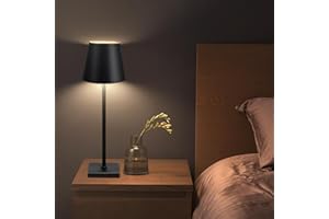 CGSGDK Lampada da scrivania wireless ricaricabile LED, luce moderna alimentata a batteria 5000mAh, dimmerazione a 3 livelli, con controllo tattile, utilizzato per comodino, all'aperto, terrazza, ristorante