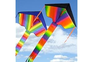 DONQL 2 Pezzi Aquilone Professionale Arcobaleno per Bambini e Adulti - Colorato Con Corda 50M x2 - Giochi All'aperto per Principianti