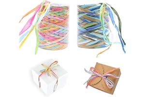 CAIYUANGJ 2 Rollen Raffia, Bast Papierband, Bunt Bast Band, Raffiabast Papier Schnur, Kunst Bastband, Bast Raffia Natur Papierschnur, für Handwerksprojekte, Geschenkverpackung, Weben und Gärtnern, 80m, 2 Stile