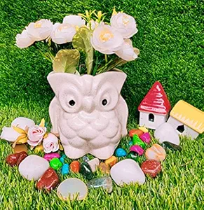 NIYARA Owl Ceramic Pots for Indoor Plants,Succulent,Outdoor,Balcony,Home,Garden,Office (Color: White) Size -Medium 5 inches