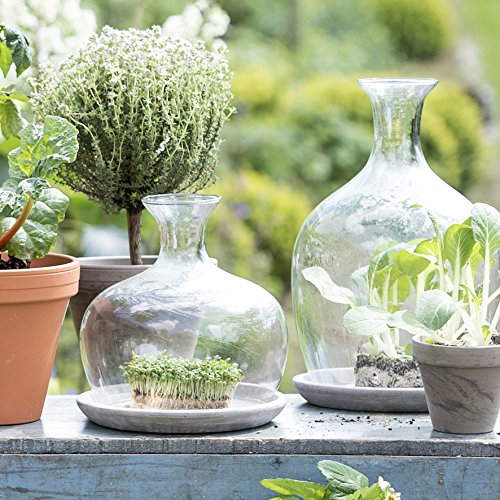 Mica decorations 146856 Monaco Glasglocke mit Teller, Glas, transparent, 23 x 23 x 23 cm - 2