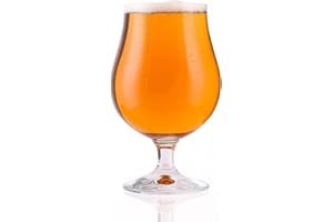 Stölzle Lausitz Set de 6 Verres à Bière Berlin 500 ml – Verres Élégants pour Pils & Autres Bières – Verres à Bières en Cristal de Haute Qualité – Passe au Lave-Vaisselle – Fabriqué en Allemagne