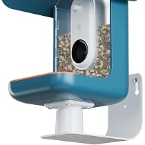 Smart Kolibri-Futterstation Mit Kamera – Solarbetrieben, Live-Übertragung, AI-Vogelerkennung