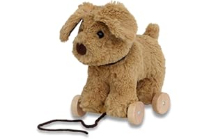 Little Bird Told Me - Dexter Dog Pull Along Toy for Baby 6+ Months Unisex - 2-in-1 Soft Toy, Removable Wheels, Sensory Plush Fabric - British Brand Since 2007