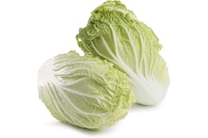 AMOREBIO Salat Chinakohl 1 x 1 kg