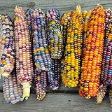 Shipping providing Internationally