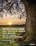 Das geheime Leben der Bäume: Was sie fühlen, wie sie kommunizieren. Der Bildband. Mit dem vollständigen Text der Originalausgabe