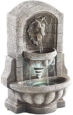 infactory Fontaine d'ambiance avec LED et pompe - Fontaine au Lion