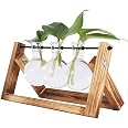 Vaso A Bulbo In Vetro Con Supporto In Legno Massello E Asta Metallica – Decorazione Da Tavolo Per Piante Idroponiche, 16x14 Cm (1 Lampadina) - 2