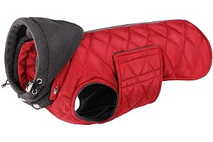 PUZAUKAL Manteau Chien Hiver Chaud Manteau Imperméable Chien Veste pour Petit Moyen Et Grand Chien Vêtement Matelassé à Capuche Amovible-Rouge(S)
