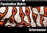 Faszination Makro UnterwasserCH-Version (Wandkalender 2017 DIN A4 quer): Faszination Makro Unterwasser (Monatskalender, 14 Seiten ) (CALVENDO Tiere) by