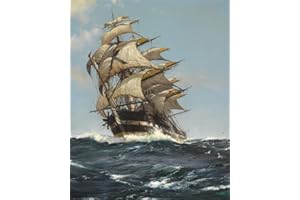 Meecaa Malen nach Zahlen Segelmeer Kit für Erwachsene Anfänger DIY Ölgemälde 40,6 x 50,8 cm (Segelboot, kein Rahmen)