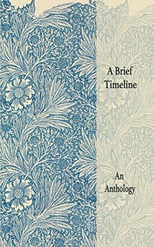 Preisvergleich Produktbild A Brief Timeline of Enemies and Friends