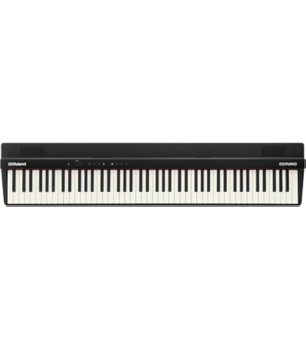 送料無料 電子ピアノ CASIO PX-130 88鍵 Casio Privia PX-130 88-Key Digital Stage Piano : Amazon.in