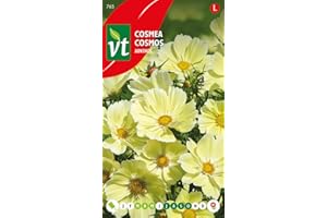 ARBORIX Semi di Cosmos Xanthos - Bellissimi fiori giallo chiaro