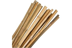 KULTIVERI Tutores de Bambú de Ø 10-12 mm, Paquete 25 Unidades. Tutores para Tomateras y para Sujetar Plantas. (150 cm)