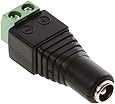 DELOCK Adapter Terminalblock > DC 2,5 x 5,5mm Buchse