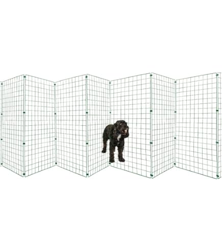 609655_7