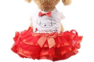 AMAONE Hundepullover Blau Haustier Hund Katze Kleid Obst Prinzessin Sommer Atmungsaktive Kleid Kleidung Hundemantel Strick (Red, XXL)